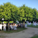 Ganz_in_weiss_Dinner-2