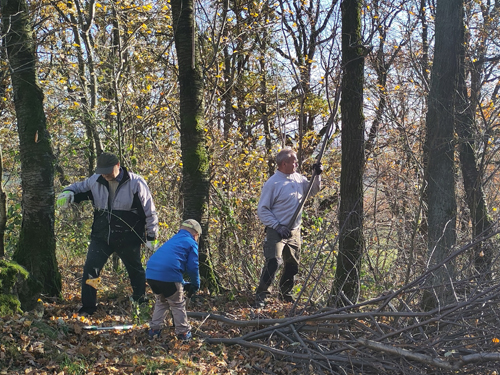 Der Steinberg braucht helfende Hände!